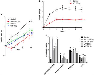 A Novel Murine Chronic Obstructive Pulmonary Disease Model and the Pathogenic Role of MicroRNA-21